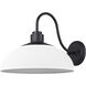 Levitt 1 Light 11.63 inch Natural Black Outdoor Wall Light in Natural White
